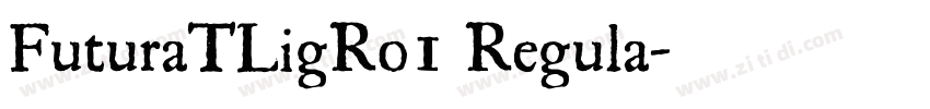 FuturaTLigRo1 Regula字体转换
